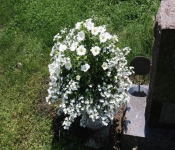 2021 05 22 SiousFalls 008